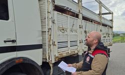 Kurban Bayramı öncesi hayvan sevkiyatları denetleniyor