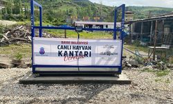 Hayvan Pazarı’na canlı hayvan kantarı kuruldu
