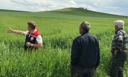 Sungurlu’da üreticilere sahada teknik destek
