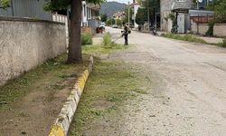 Osmancık’ta ot biçme çalışmaları sürüyor