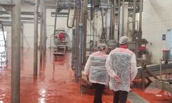Çorum’da Kurban Bayramı öncesi kesimhane denetimi