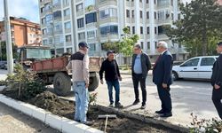İskilip’te peyzaj ve refüj düzenleme çalışmaları sürüyor