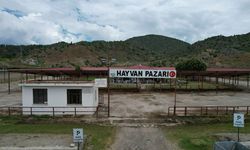 Osmancık Canlı Hayvan Pazarı yeniden hizmete açıldı