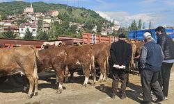 Bayrama sayılı günler kala Bayat'ta hayvan pazarı açıldı