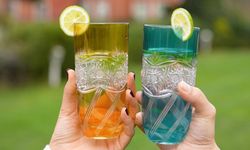 10 bin fidanlık dev proje ilk olarak Çorum’da hayata geçti