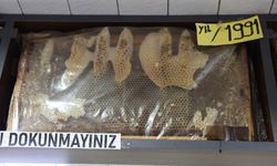 35 Yıldır Bozulmayan Bal Çerçeveleri Görenleri Şaşırtıyor! Üzerindeki Detay Herkesi Hayrete Düşürüyor