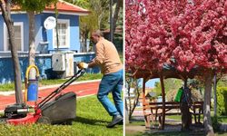 Alaca Belediyesi parkları yaza hazırlıyor