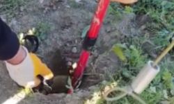 Çorum’da gider borusundan kurtarılan yavru kaz koruma altına alındı