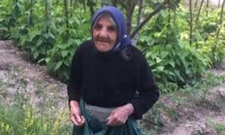 Elif Polat hayatını kaybetti