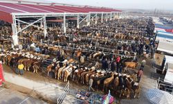 Belediyeden kurban pazarı için ön talep duyurusu