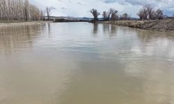 Kızılırmak Çorum’u besliyor, bölgeye hayat katıyor