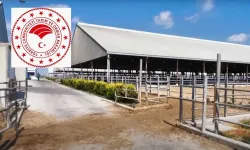 Genç çiftçilere ücretsiz makine ve ekipman desteği