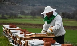 Türkiye arıcılıkta dünyada ilk üçte yer aldı