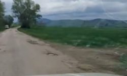 Mehmet Tahtasız’dan yol tepkisi: “Ne araba dayanır ne böbrek taşı”