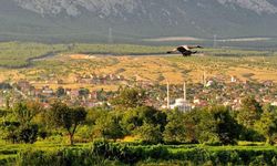 Fotoğraflarla Kargı: Her karesi ayrı bir güzellik