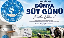 Mecitözü Süt Üreticileri Birliği’nden Dünya Süt Günü mesajı