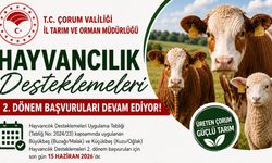 Hayvancılık desteklemelerinde başvuru süreci devam ediyor