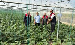 Mecitözü'nde tarımsal üretim sahada takip ediliyor