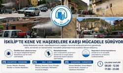 İskilip'te kene ve haşerelere karşı mücadele sürüyor