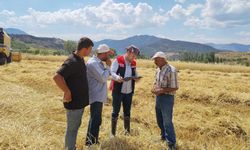 Hasat sürüyor! Laçin’de biçerdöverler tek tek denetlendi