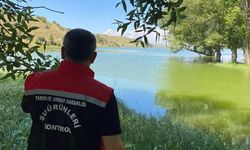 Güllük’te aşılama, Seyitnizam’da su ürünleri denetimi