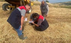 Çorum'da hasat başladı: Biçerdöver kontrolleri sürüyor