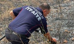 Çorum'da arazi yangını: İtfaiye anında müdahale etti