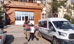 Sosyal medya üzerinden hayvan satın alma vaadiyle vatandaşları dolandırdılar