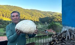 Tam 5 kilo geliyor: Vatandaş buldu, görenler gözlerine inanamadı