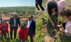 Alaca’da şehitler için fidan dikildi