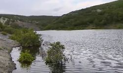Demirşeyh Sulama Göleti yağışlarla doldu