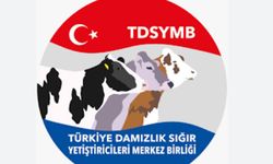 E-Islah Veri Tabanına Geçici Erişim Kesintisi