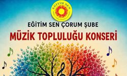 Eğitim Sen Çorum Şubesi'nden müzik şöleni hazırlığı