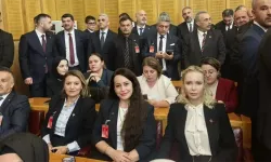 İbrahim Tatlıses'in eski eşi siyasete girdi: MHP'de görev aldı