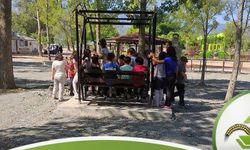 Kargı’da park ve yeşil alanlar güzelleştiriliyor
