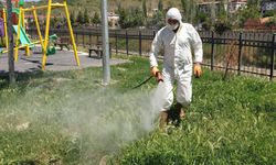 Bayat'ta park ve bahçelerde bakım çalışmaları sürüyor