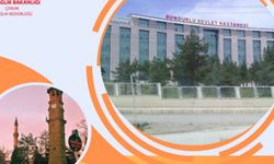 Sungurlu Devlet Hastanesi'ne İç Hastalıkları Uzmanı atandı