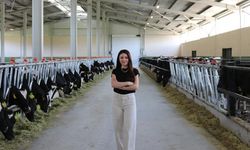 Genç kadın mimar köyüne süt üretim çiftliği kurdu