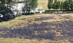 Veli Çayırı’ndaki yangında ekili arazi zarar gördü