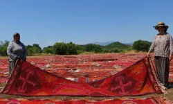 Yüzlerce yıllık halılar buğday tarlalarını renk cümbüşüne çevirdi
