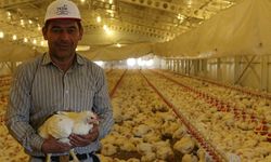 TKDK’dan hayvancılık sektörüne 30 milyon avroluk yeni hibe desteği