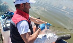 3 bin metreden fazla ağ yakalandı: Kaçak avcılığa sıkı denetim