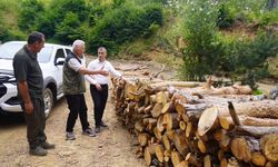 Ormanda inceleme yaptılar: Çalışmalar değerlendirildi