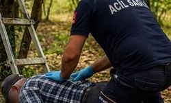 Kiraz toplarken ağaçtan düşen yaşlı adam yaralandı