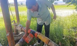 Çeltikte yabancı ot mücadelesinin ilk etabı tamamlandı