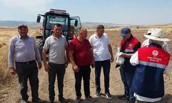 Sungurlu’da biçerdöverler tarlada denetleniyor