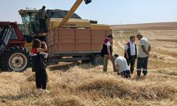 Alaca ve Mecitözü’nde biçerdöverler denetlendi