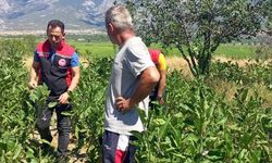 Kargı’da sebze üretim  alanlarına sıkı kontrol