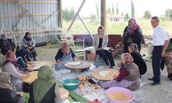 Kaymakam Nayman Bayındır Köyü'nü ziyaret etti