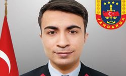 Uzman çavuşun hayatını kaybettiği kazada yeni gelişme: Sürücü tutuklandı